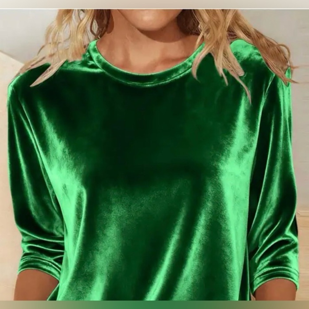 Emerald Green Velvet Top Long Sleeve Crew Neckline Medium New Astrid